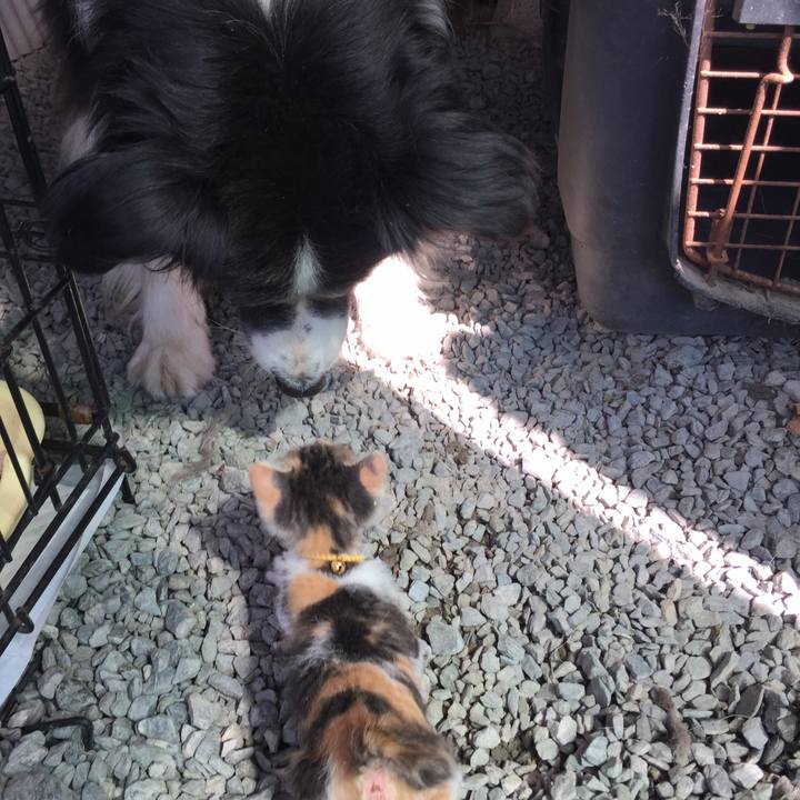 E9d32820 97c9 4cf3 82f2 f346cf42bf39 1568509308733