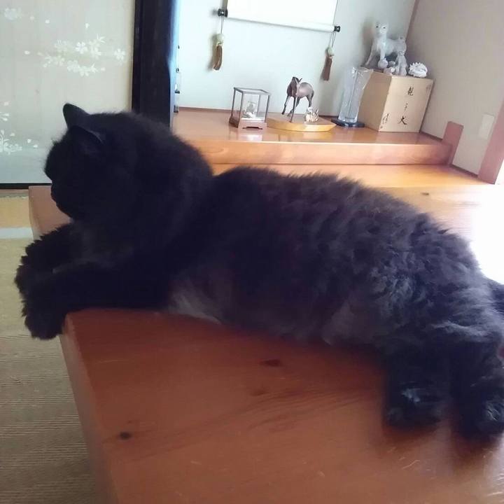 E9d35051 e4a1 4453 961f 44b2452adff3 1534651998375