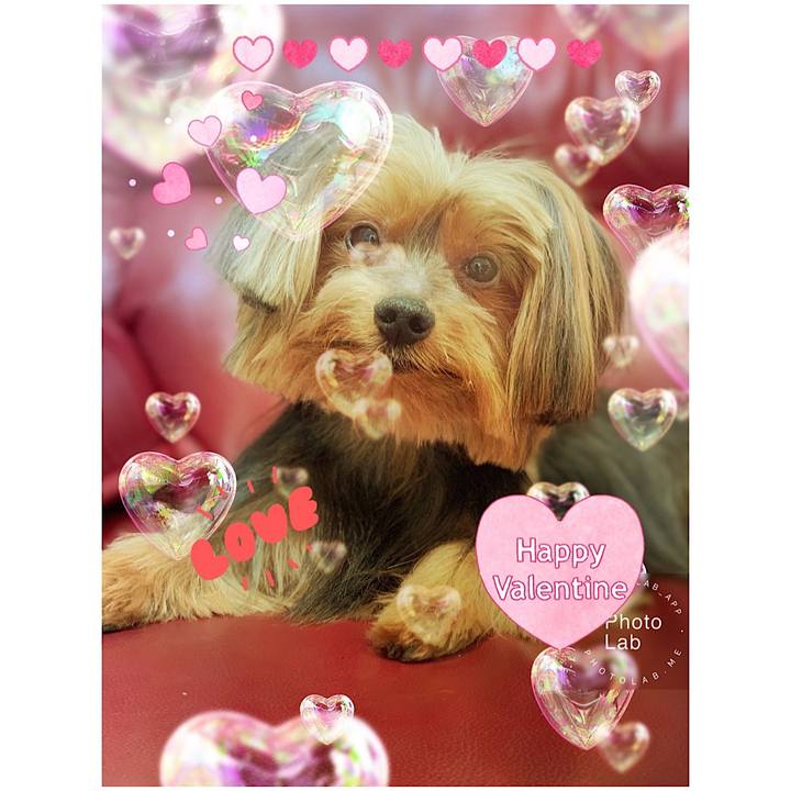 E9d352db c5e6 4940 89f5 72137b3b3603 1550095222058