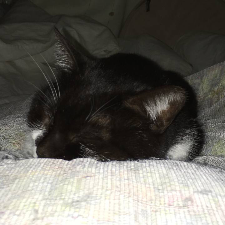 E9d398eb 71f2 40dc 80b7 c538e83a5714 1522263612205