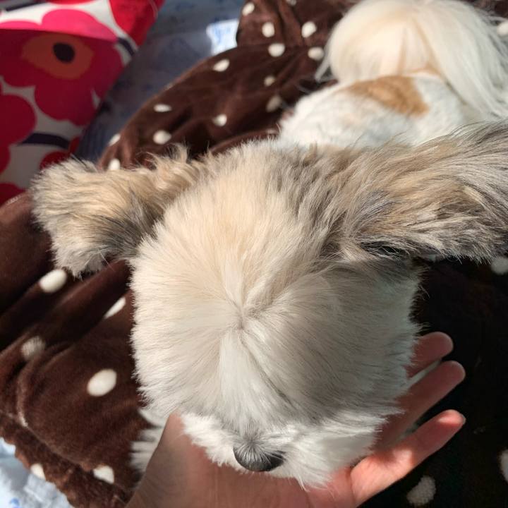 E9d39f75 3ddf 46df 8771 eb444acbfe6f 1572579266568