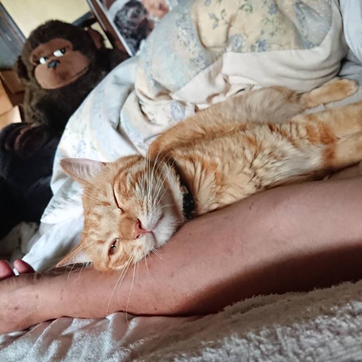 E9d3d716 c2cb 495f a26f 6c84996d735c 1657950062519