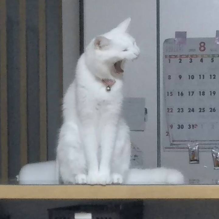 E9d3d9d5 6768 450e 998e ac01f177917d 1630411793387