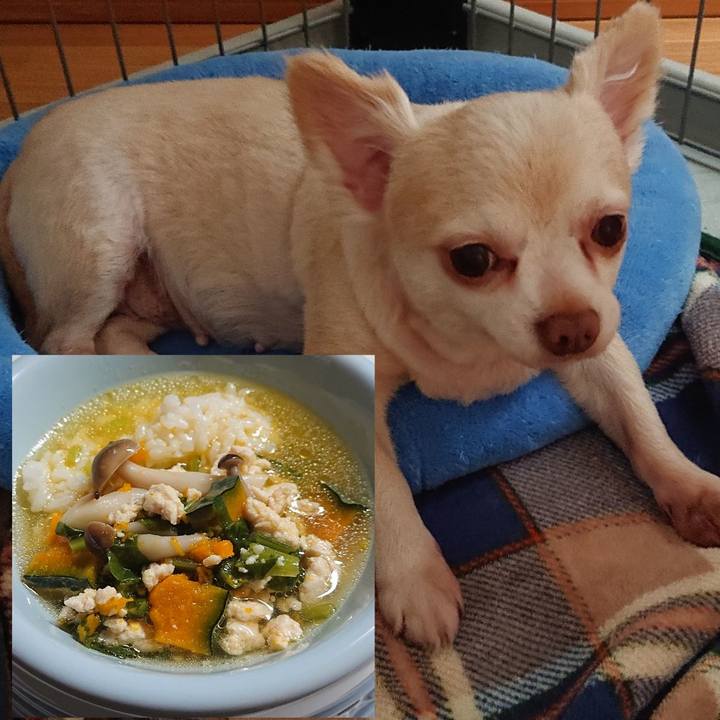 E9d3e8c5 e715 40bc 9124 64811f7eb9c8 1563748202733