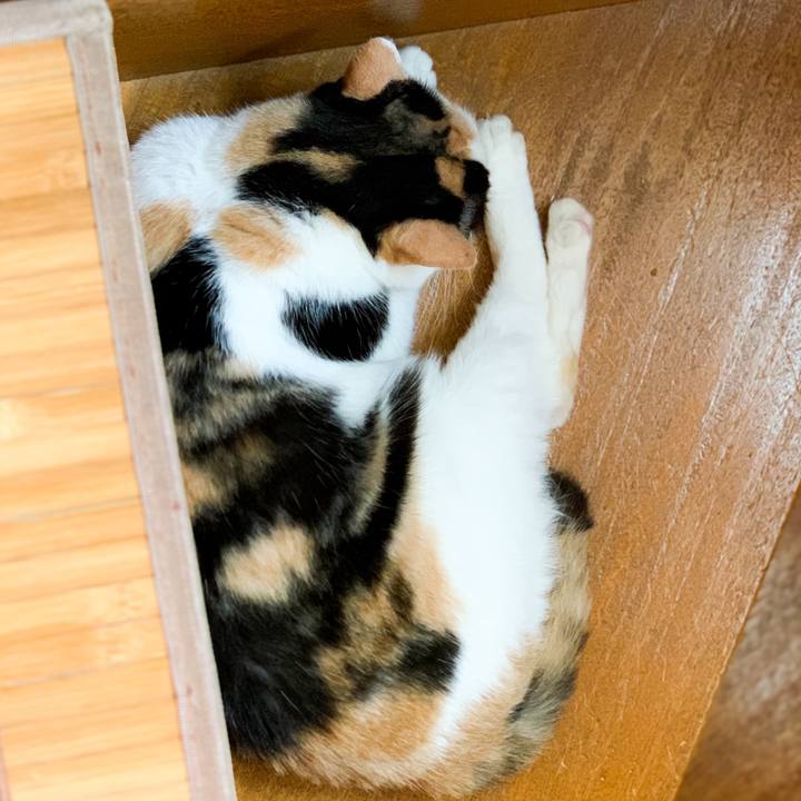 E9d4015f e63e 4047 865e d0d1feb4fe19 1601000201825