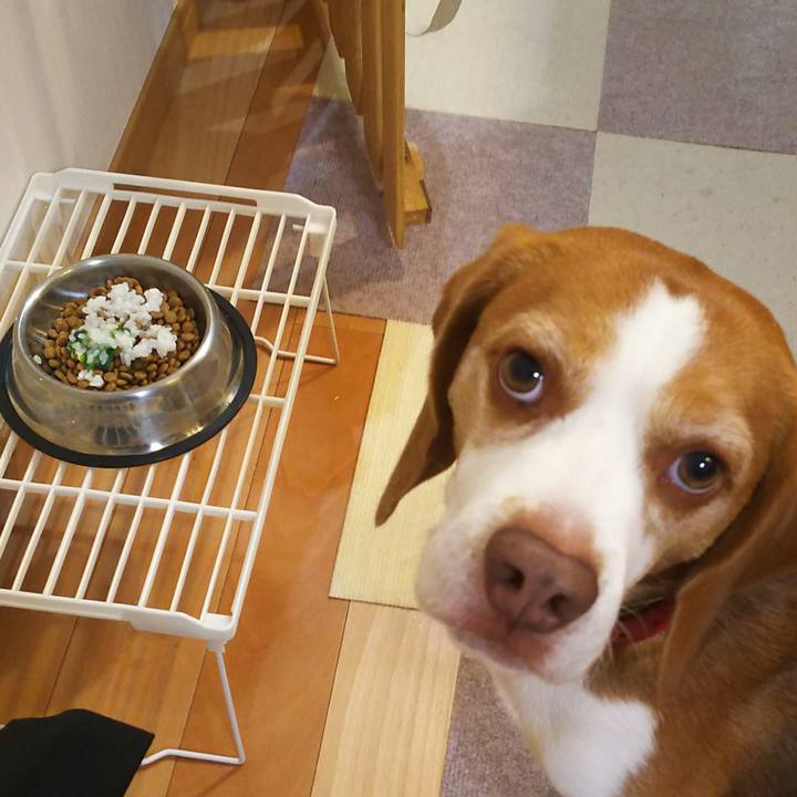 E9d40c98 c758 4d55 907a 2699265e41a1 1641553290334