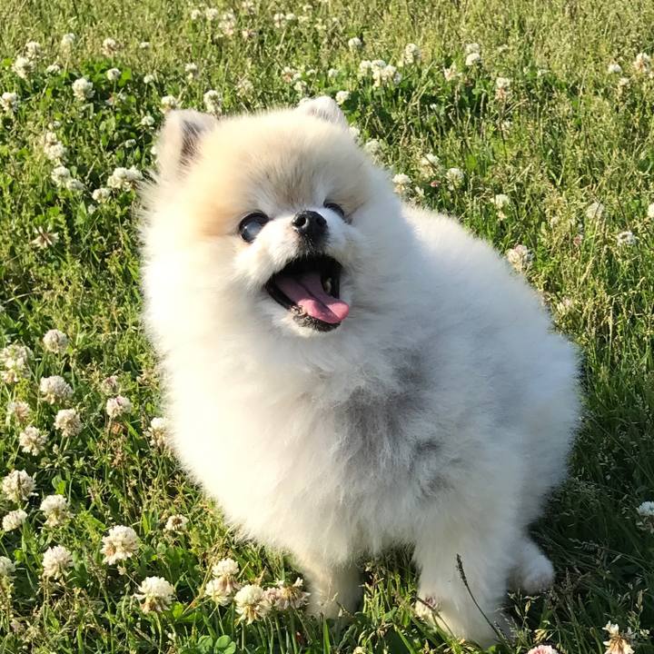 E9d42a69 6f57 46e8 9084 8315bad6aa06 1714142070718