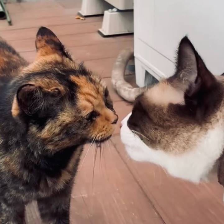 E9d44902 a550 4e2a aa7e 2ba923277235 1757208902269