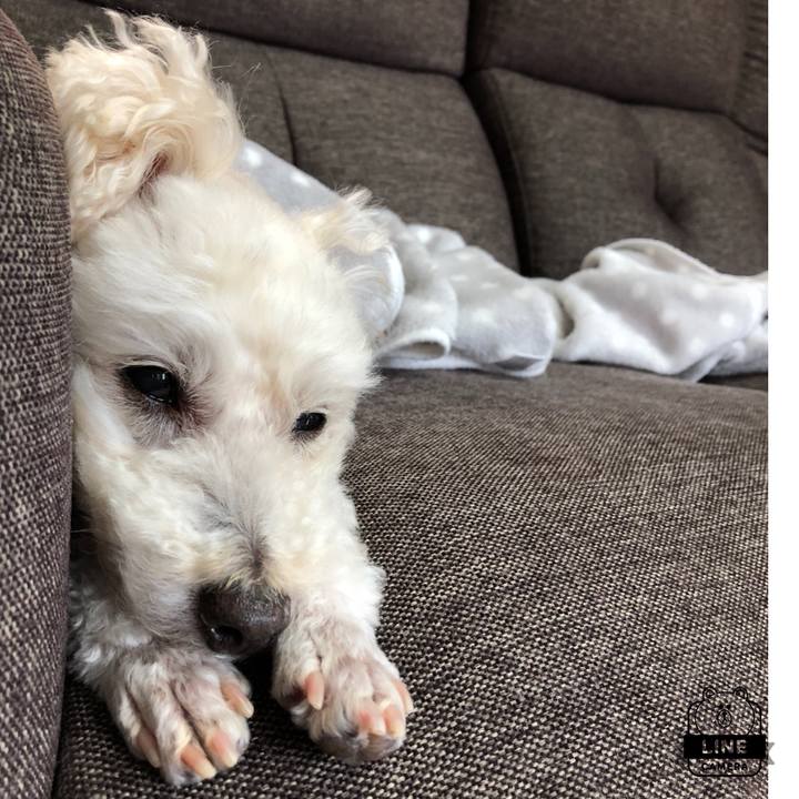 E9d476ca 6fba 462d a456 749c72c76612 1526127668223