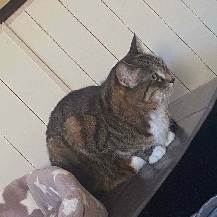 E9d495e2 a006 4d48 9aa4 537925aa71ab 1739258552476