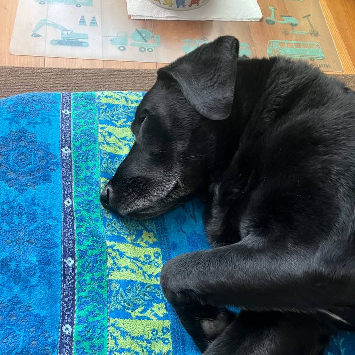 E9d49862 b29f 44c1 b1b2 b94095000488 1746342430528