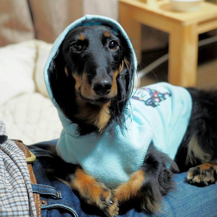 E9d53131 6848 4fdd 95ed 8d4f42e26a5b 1523240083184