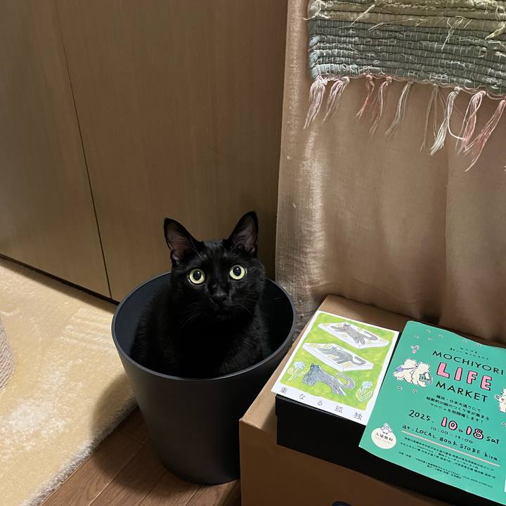 E9d568d7 7d51 4e80 939f 76969792c7b1 1760453271672