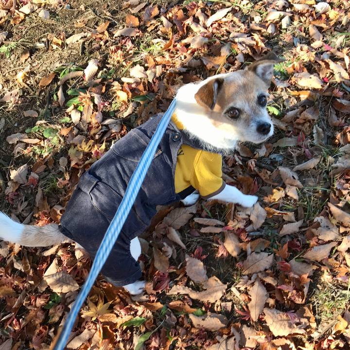 E9d58c75 58b7 4afe a490 4cd625cf6e87 1607998211562