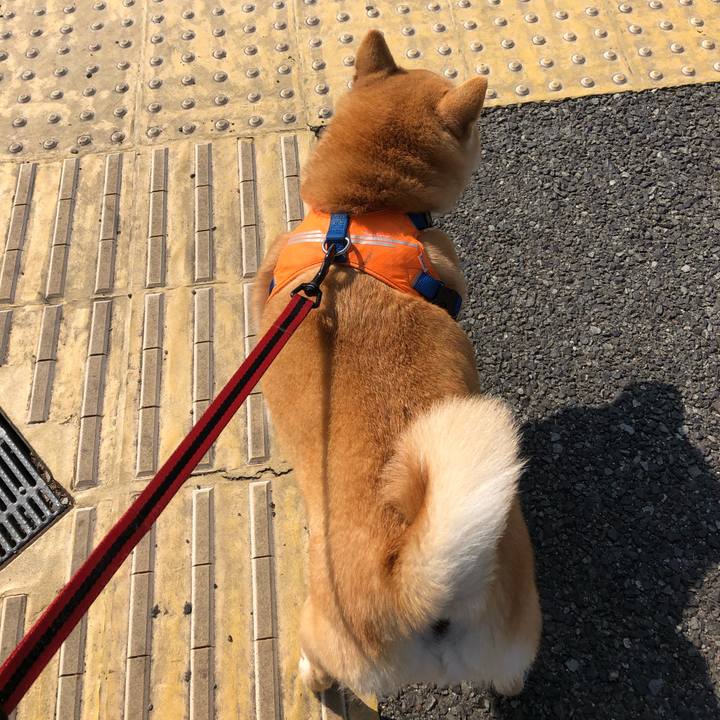 E9d5a5aa ec18 42e7 98a5 efb3f731551d 1551138680202