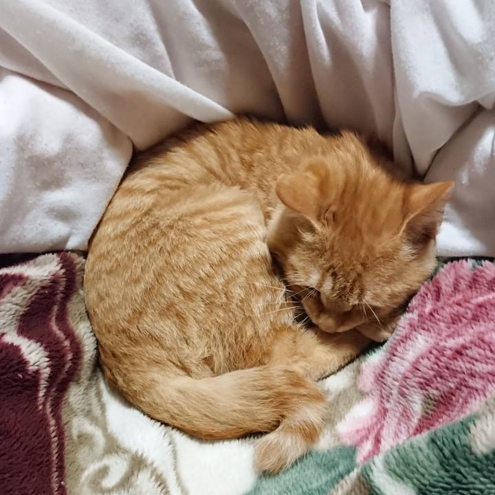 E9d5a65a 5bc6 4f53 96d6 cc7c8cd78183 1634816323674