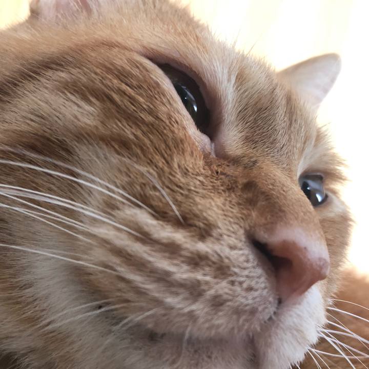 E9d5e104 76ca 4d77 91dd 03239cf628eb 1644625290299