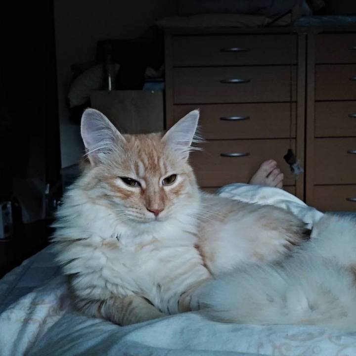 E9d625c8 84d8 4915 a6b9 50b7b5b397af 1620726279759