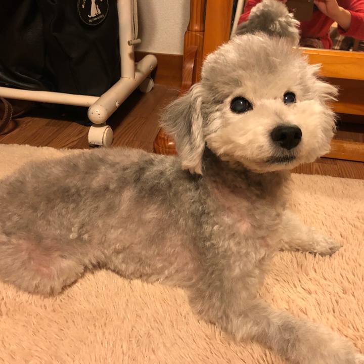 E9d6409d 5b86 406c 9b30 08e22c40bf35 1547850659530