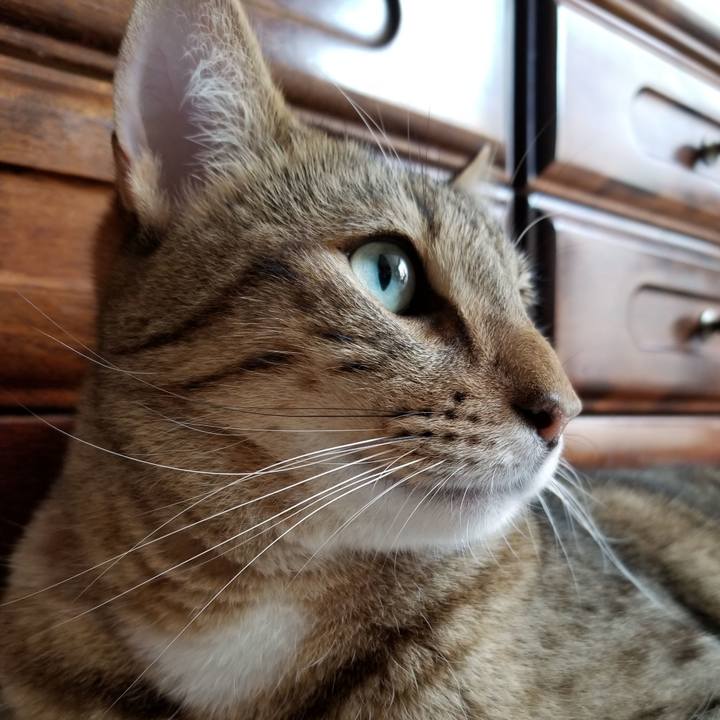 E9d6484c d689 4b2a a5ae e994c4014464 1627564611001