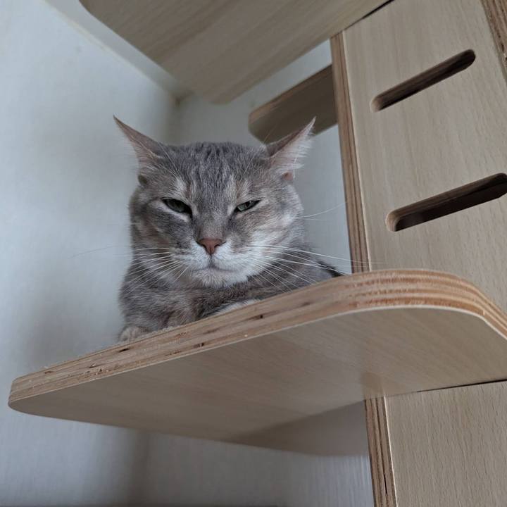 E9d656af 2cae 45d8 9d09 e044c70ffb32 1715074868861