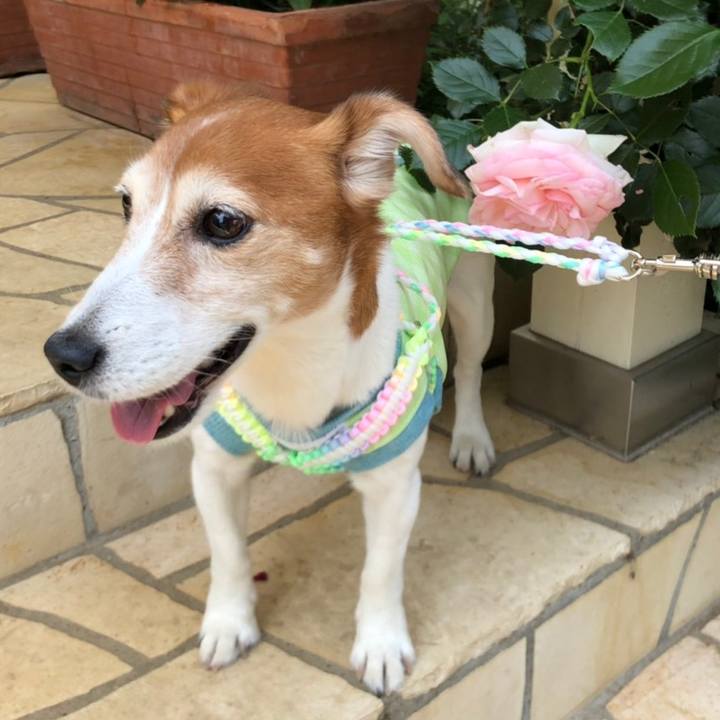 E9d65b71 0f45 461f 8a6c 98cf9da68a3e 1561472025846