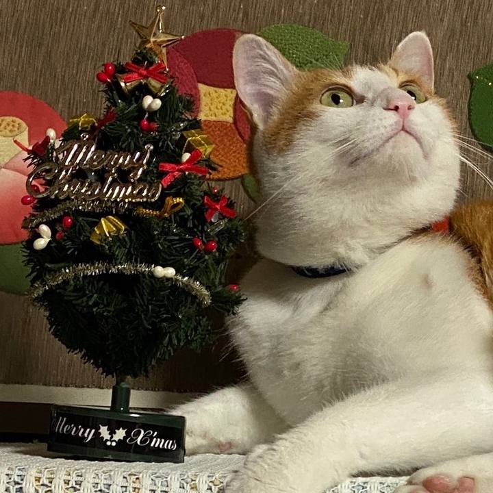 E9d67467 e845 48cc aa9b fc8abaa2fd0d 1577163663000