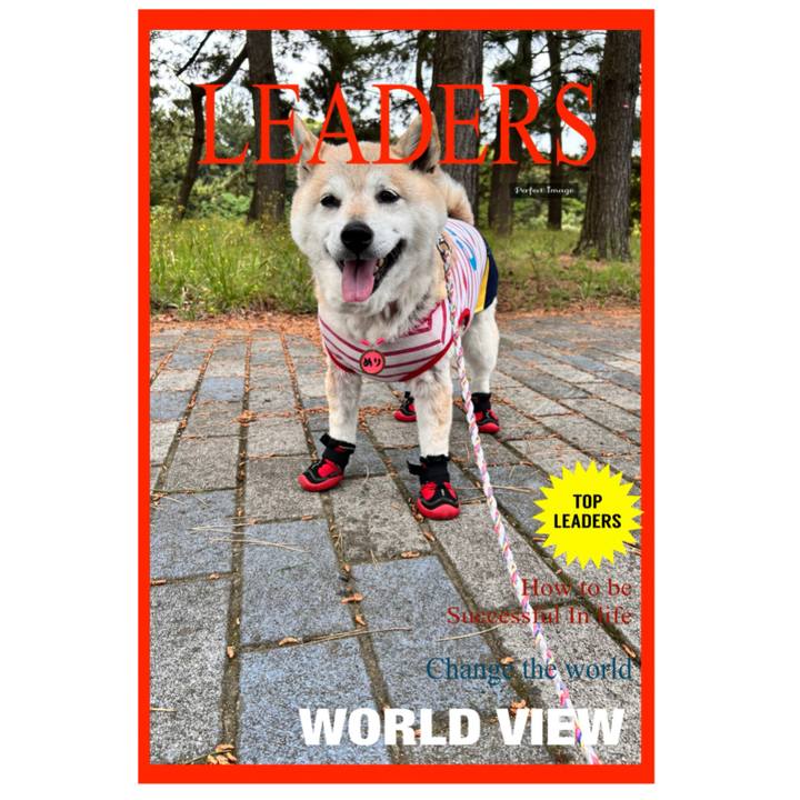 E9d6842e 3567 4c3b 8b47 522288150cff 1747868240178