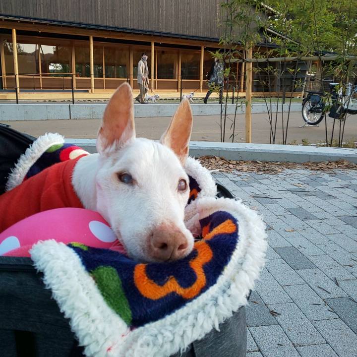 E9d68ff9 537b 4624 951a f715b518847d 1618471070481