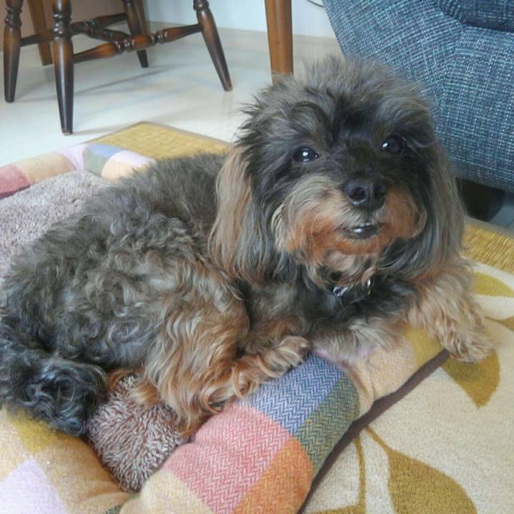 E9d6a412 d68d 41da 8409 1f28de09df07 1551493759749