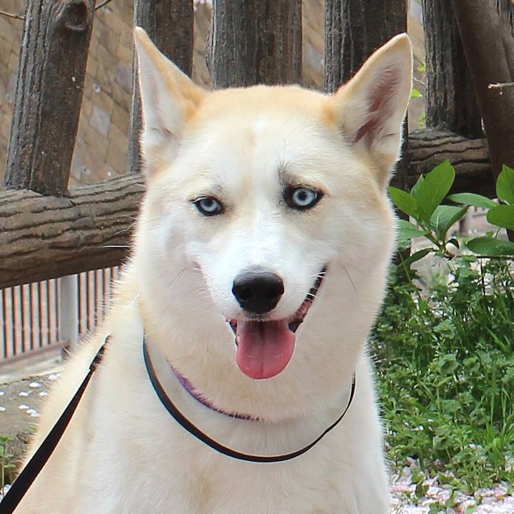 E9d6ab96 8d03 4e21 81dd b54c526cbb5f 1521682786796