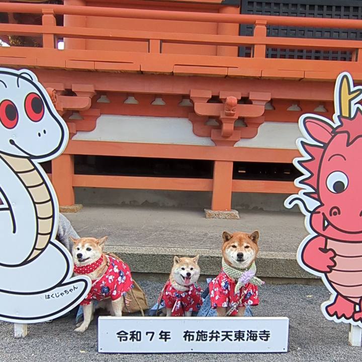 E9d6cb83 6383 4d76 ac75 68ce4ee8bc4b 1740961639078