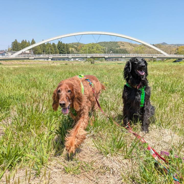 E9d6e0d5 446a 4d77 824b fa750768b90b 1777212282944