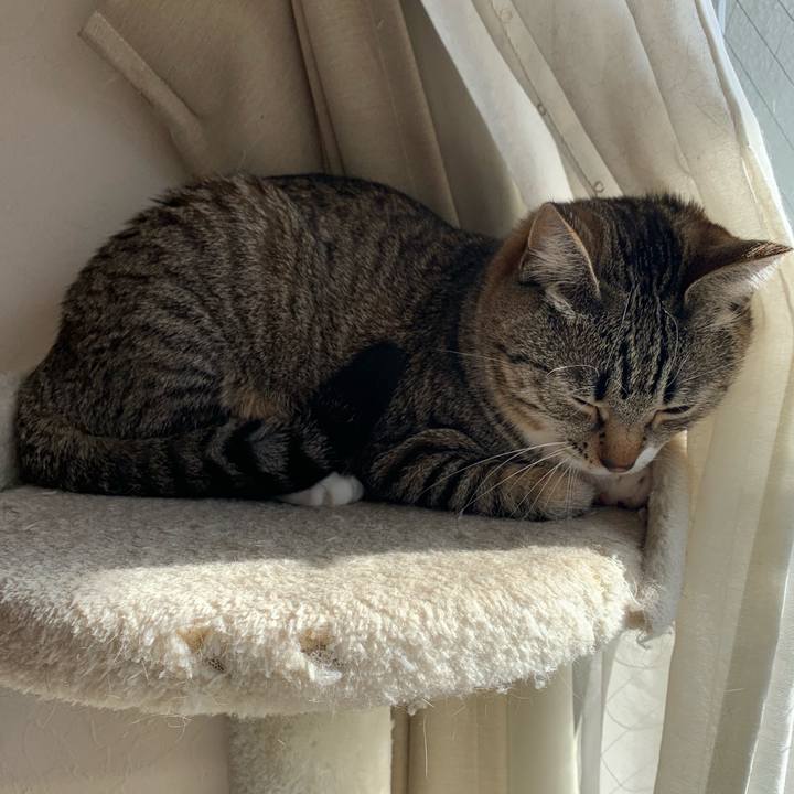 E9d70b4d 8ac2 4717 923e 3b0c5351e247 1554426758216