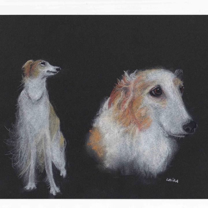 E9d746ad 480e 4ba5 9b81 d03a3f28adf0 1615816289812