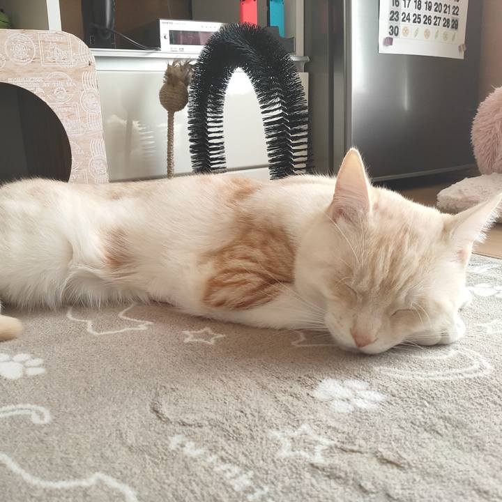 E9d77206 f484 4647 bc85 7e86bb57ddfa 1681345938836