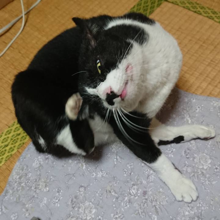 E9d78d89 28d3 4d15 9fb7 ef1e82645c39 1583667505775