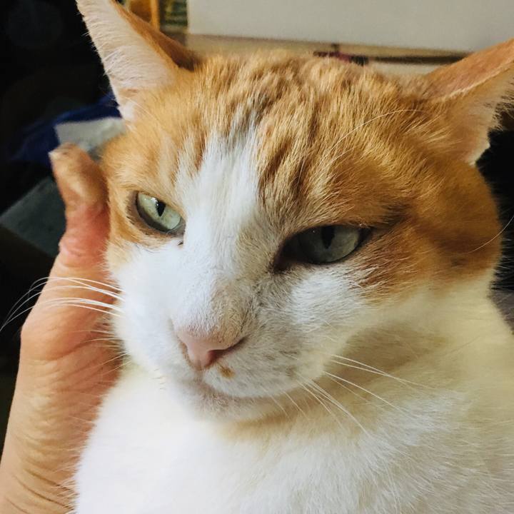 E9d78e05 d981 44db acbf 34bbb01d8818 1553730560079