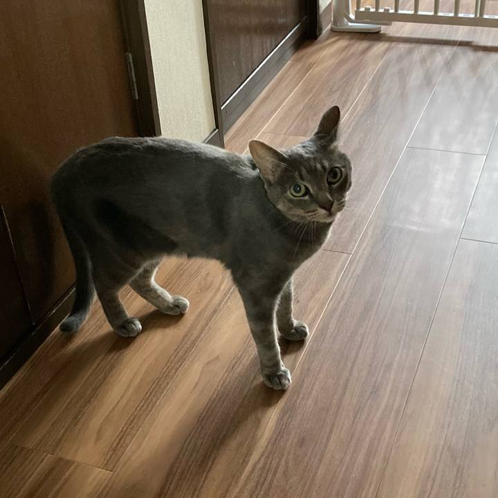 E9d7936d f3e3 4c09 ae7e 232616ca35b0 1627091544970