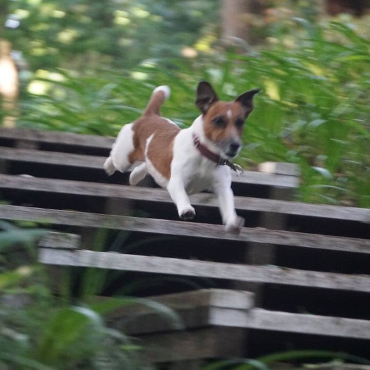 E9d79379 5f4d 4aaf 873d d7cc9244a9df 1558565043544