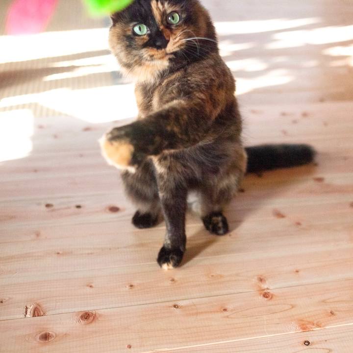 E9d793b9 8c37 4555 800f e22a7c0e98ad 1580523643105