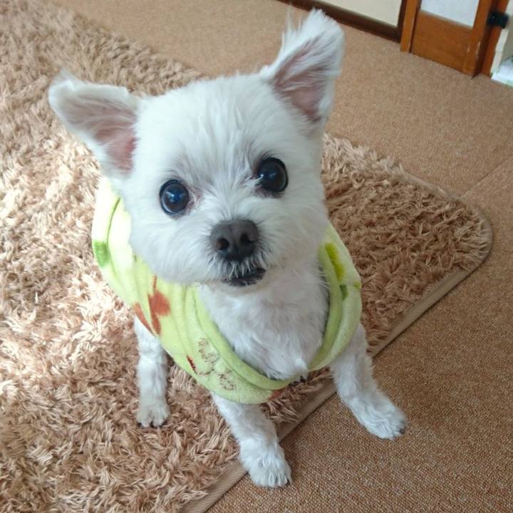 E9d79a46 03ec 4848 836c 798fa620c0f8 1516974940038