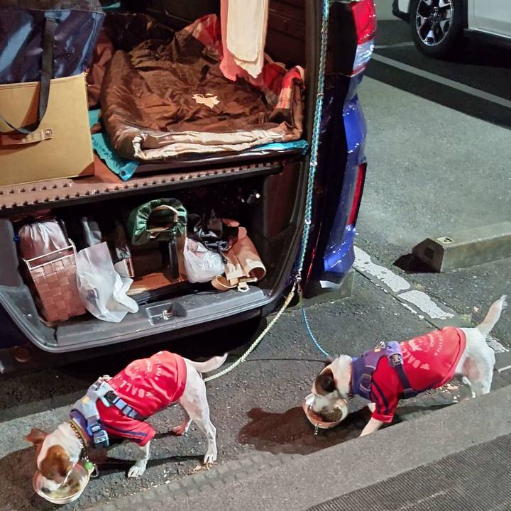 E9d79a7f 7ad1 4250 a230 8f01946732f7 1635597630801