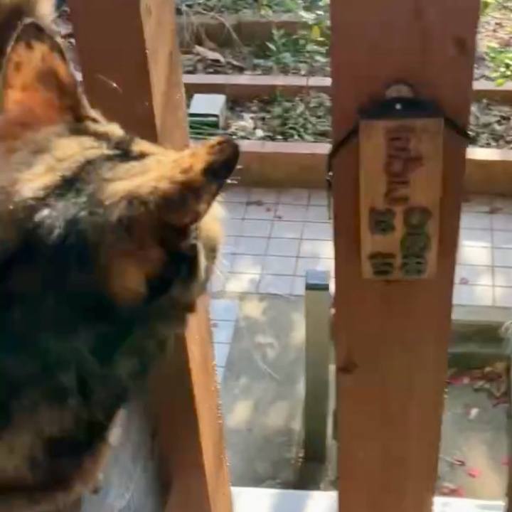 E9d7af04 39d1 42e2 bd70 3a553154954a 1738289826322