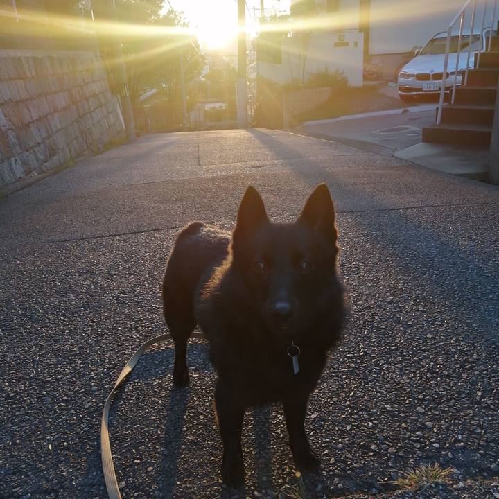 E9d7c047 a4ae 46fb a214 7bc9cd240de5 1632172061184