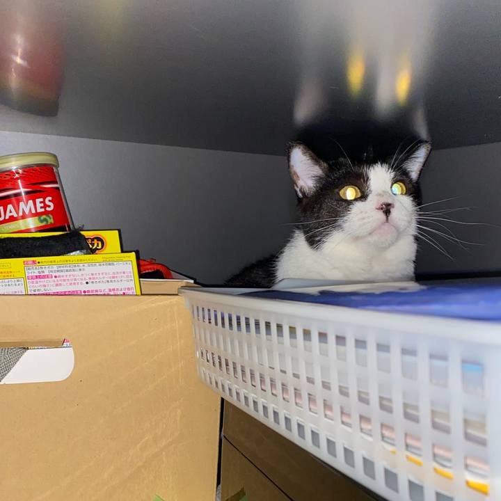 E9d7fee6 6b84 420f b8e8 59e3f280f6e9 1751110216906