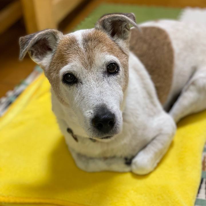 E9d84813 f299 43c6 9080 88cc54d8ca74 1634244476137