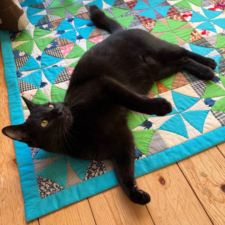 E9d8524e 327c 4ee0 85e8 10cdf7aab994 1767767807613