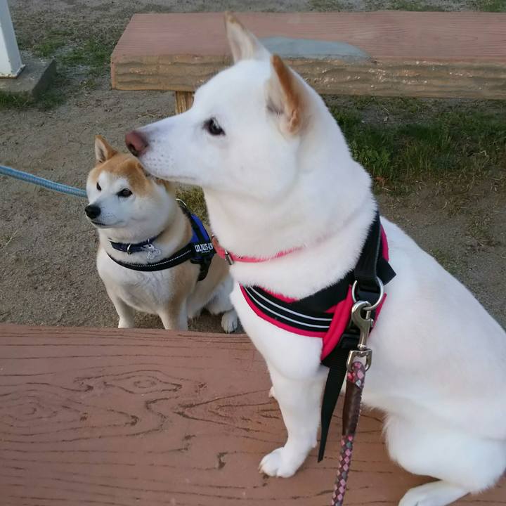 E9d85827 5e6f 4626 9c71 eb183760b626 1524735133687