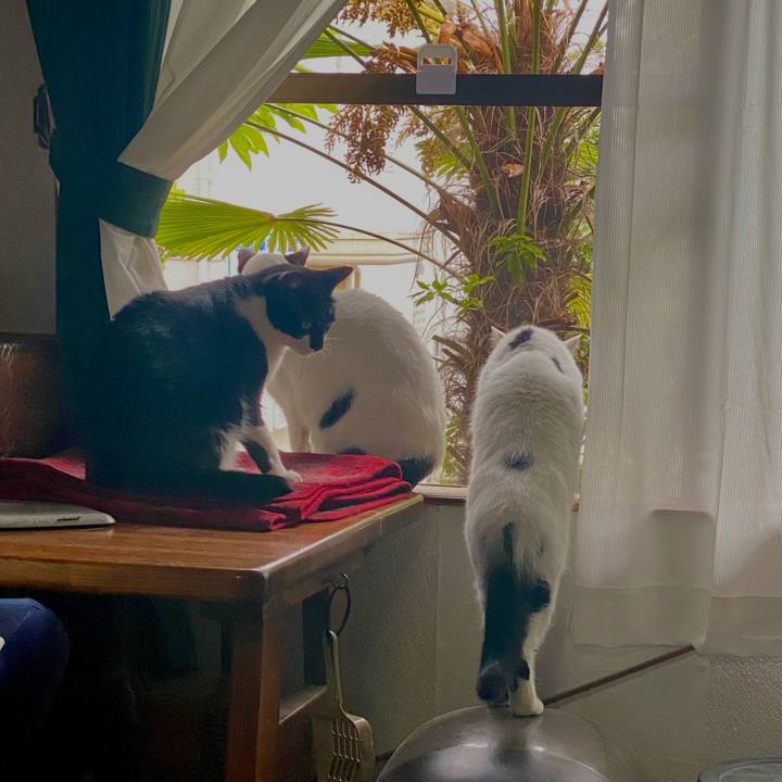 E9d8d3a1 be55 45de ac86 4b1682b29b09 1620950286149